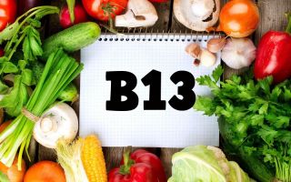 ויטמין B13: מה הגוף זקוק לו, אילו מזונות מכילים