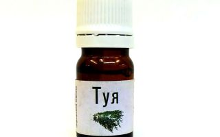 Thuja oil: คำแนะนำสำหรับการใช้ adenoids สำหรับเด็กบทวิจารณ์