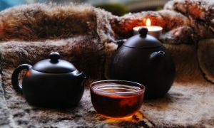 Pu-Erh-Tee: nützliche Eigenschaften und Kontraindikationen