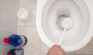 วิธีทำความสะอาดห้องน้ำจากมะนาว: การเยียวยาพื้นบ้านและเฉพาะทาง