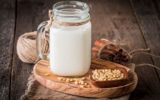 חלב ארז: יתרונות ונזקים, תכונות מרפא, התוויות נגד