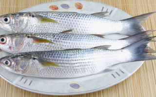 Mullet fish: mga benepisyo at pinsala, komposisyon ng kemikal, nilalaman ng calorie, larawan