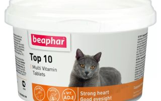 Flüssige Vitamine für Katzen: welche besser sind, Zusammensetzung, Typen, Bewertungen von Tierärzten