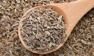 Sjemenke kopra: korisna svojstva, kako kuhati i uzimati