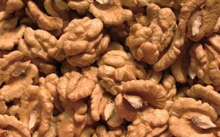 Mga walnuts: kapaki-pakinabang na mga pag-aari at kontraindiksyon, kung magkano ang makakain bawat araw