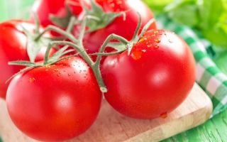 Warum Tomaten für den Körper nützlich sind