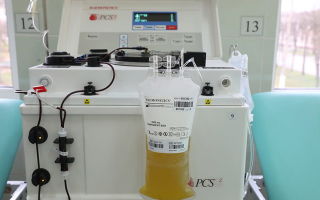 Doniranje krvne plazme: kontraindikacije, što je opasno, blagodati darivanja