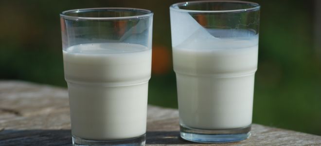 חלב חמאה: מה זה ואיך הוא שימושי