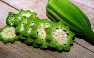 Okra (okra): τι είδους λαχανικό είναι, μια φωτογραφία ενός φυτού, τα οφέλη και οι βλάβες στην υγεία