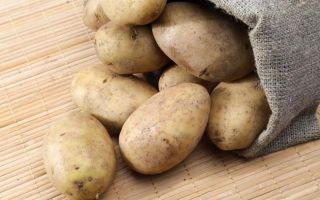 Kartoffeln: nützliche Eigenschaften und Kontraindikationen